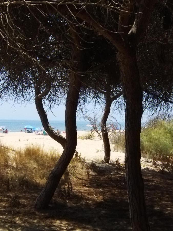 Sol Y Mar Villa Isla Cristina Luaran gambar